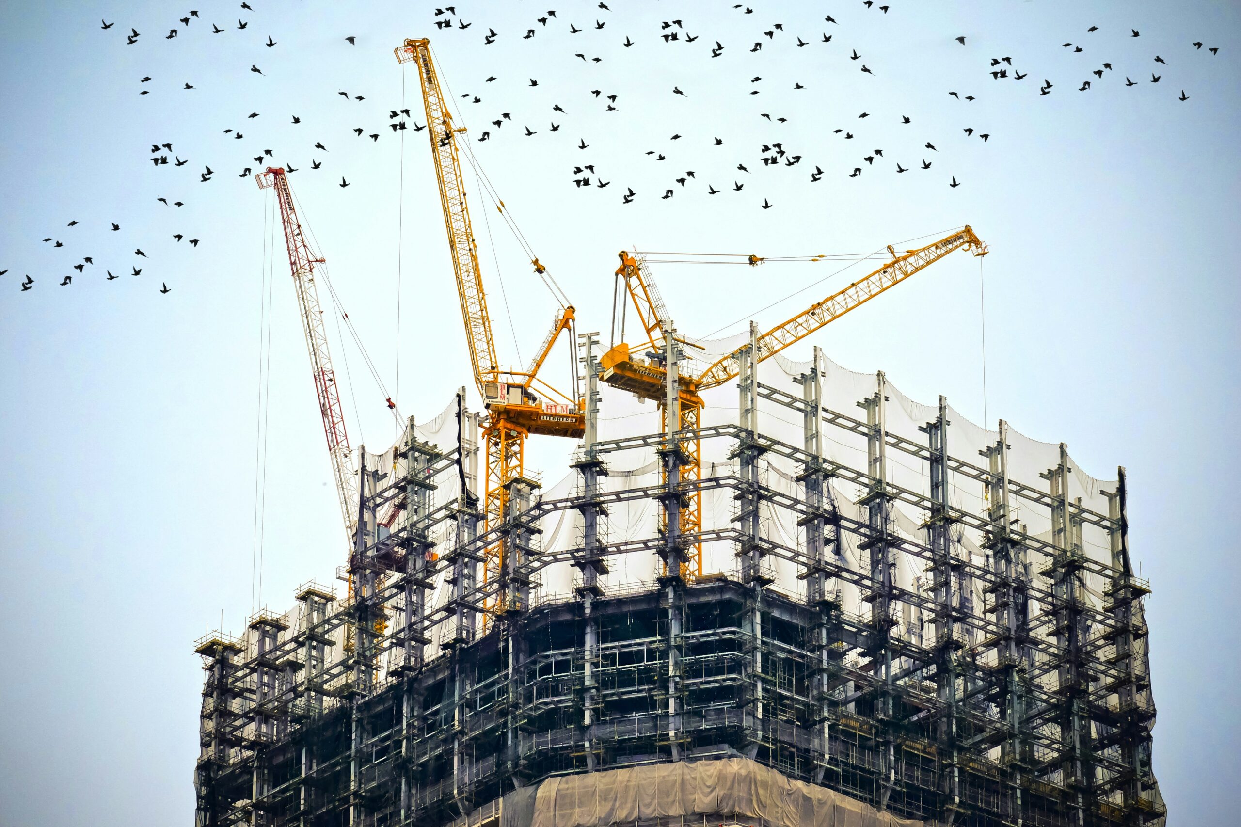 Illegal Conversion to Commercial Use: How Landlords Undermine Tenant Protections